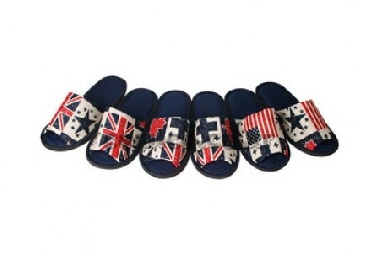 Dép vải đi trong nhà hình cờ màu xanh